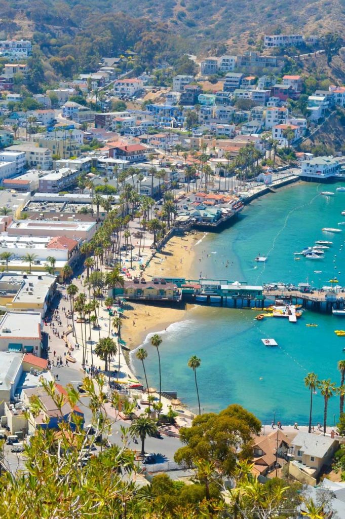 one-day-on-catalina-island-travel-guide-luci-s-morsels