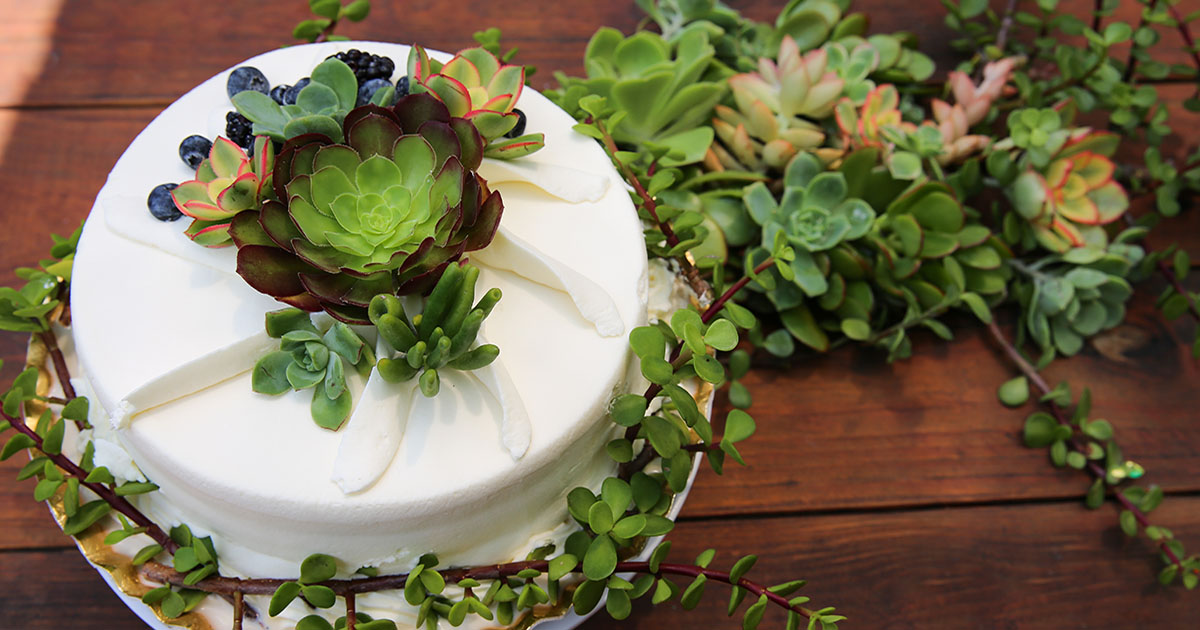 Rustic Buttercream and Succulents Wedding - Decorated - CakesDecor