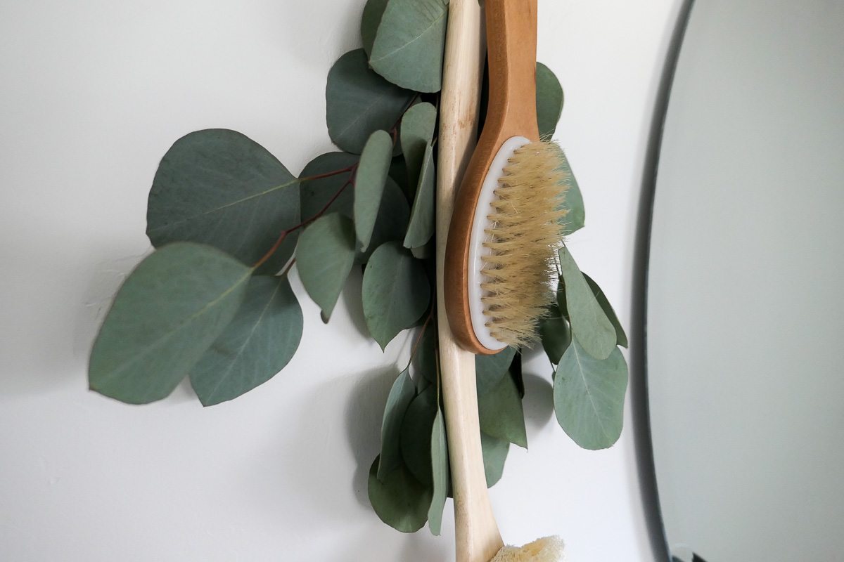 Beauty Body Tools - Dry Brushes Hanging from hook with greenery behind